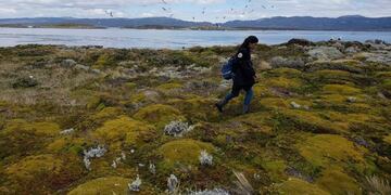 Isla Conejo\u002E Ushuaia\u002E