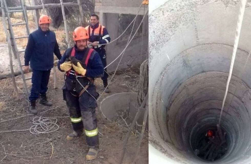 Rescataron a dos perritos que se habían caído a un pozo de 20 metros