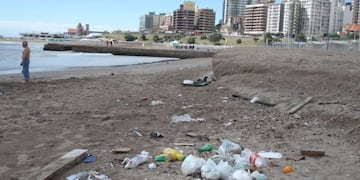 Más del 80% de los residuos no orgánicos en playas bonaerenses son plásticos (Web)\u002E
