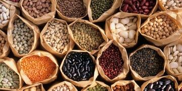 Alimentos andinos (foto ilustrativa)