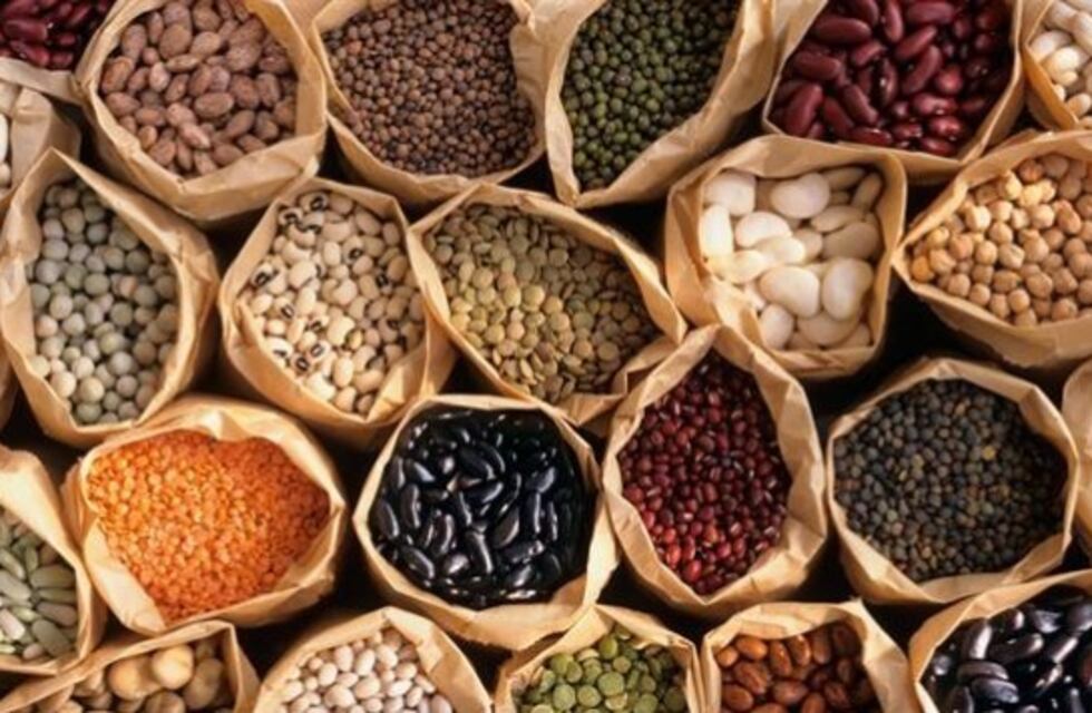 Una investigación permitió la creación de alimentos con la fermentación de productos andinos