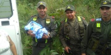 Gendarmería asistió al parto de una mujer dentro de un colectivo en Salta\u002E (Gendarmería Nacional)