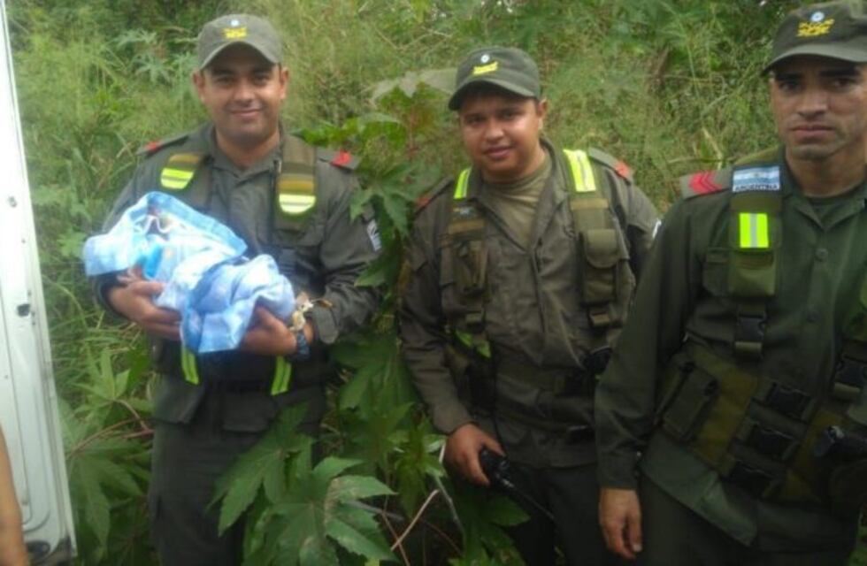 Un colectivo se convirtió en sala de parto luego de que una mujer comenzara con fuertes contracciones