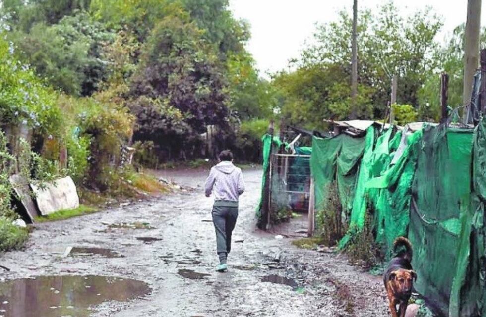 La erradicación del Bajo Luján divide a sus habitantes