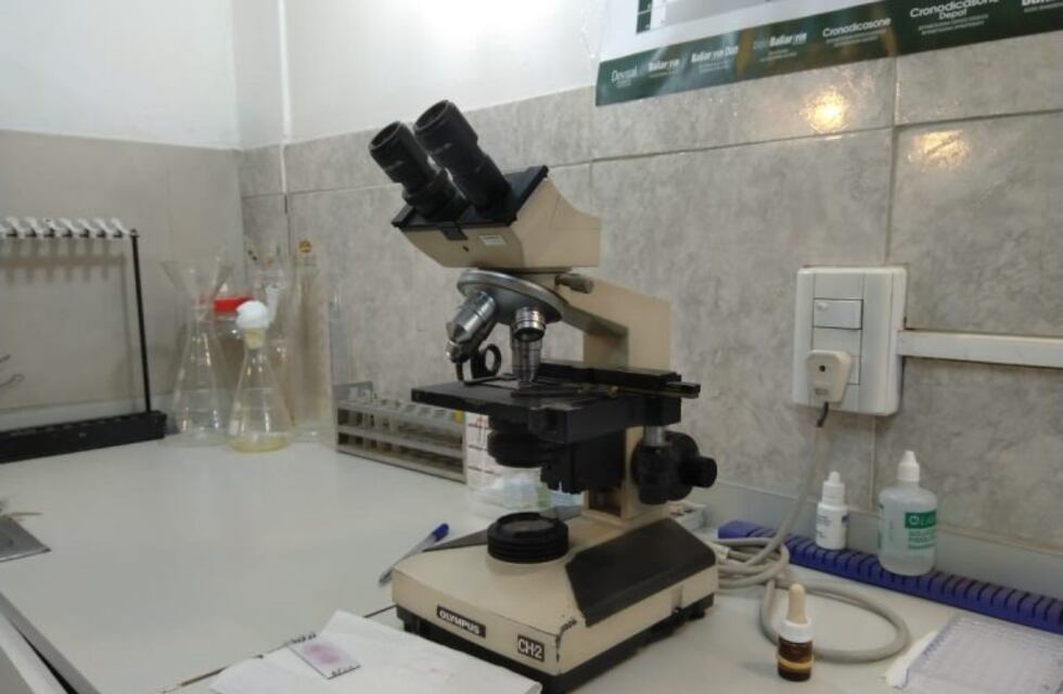 Una bioquímica cuestionó la categoría resultado dudoso en los test de coronavirus