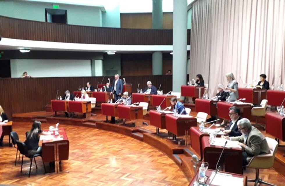 La Legislatura criticó al Gobierno por respaldar a Cigudosa
