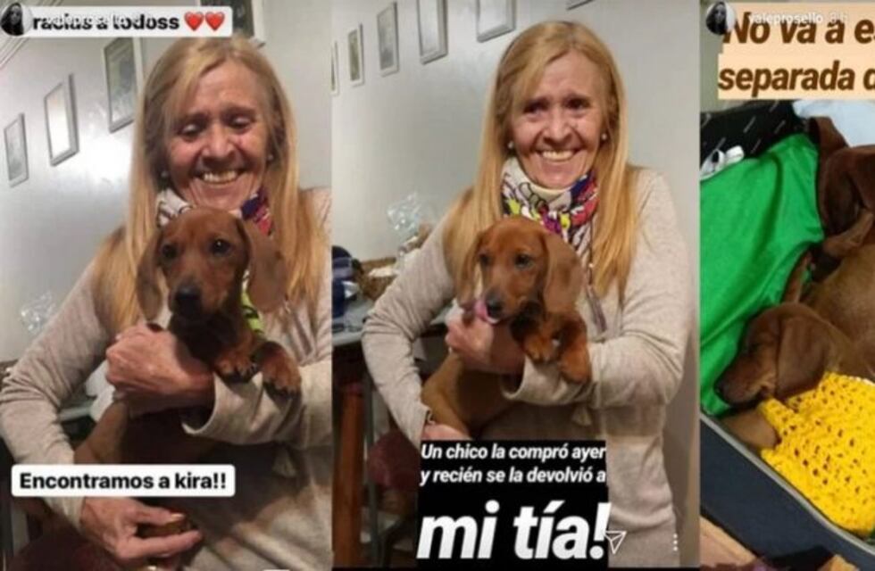 ¡Apareció Kira! recuperaron a la perrita salchicha que habían robado