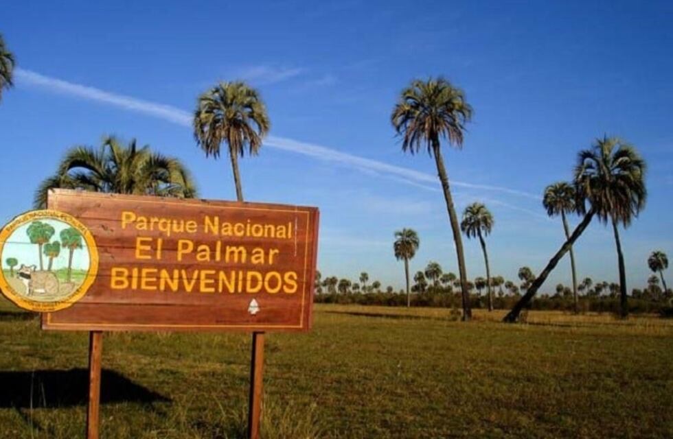 Actualizaron el plan de caza de jabalí y ciervo axis en el Parque Nacional "El Palmar" de Entre Ríos