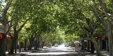 Ingresará un frente frío ala region luego del paso del Zonda. El fin de semana estará cálido.