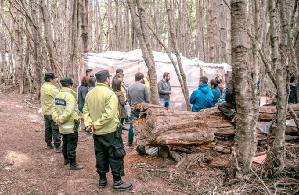 Denuncian nuevas usurpaciones y tala indiscriminada del bosque en Ushuaia