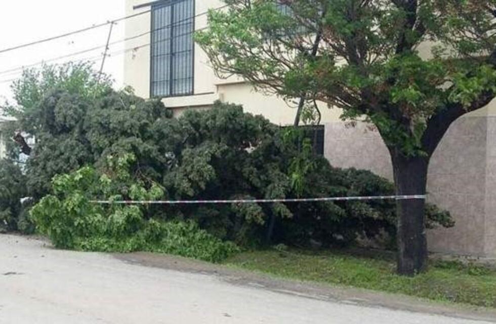 Petroni, tras el temporal: "Hubo que adaptar los protocolos de lluvia para el viento"