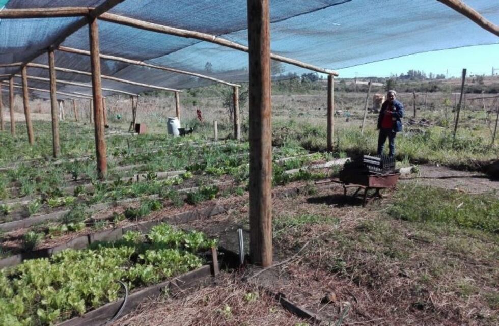 Producción en barrios Estepa y Porvenir sumará riego y cobertura plástica de huertas