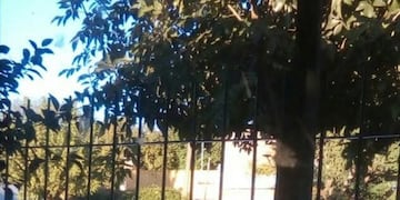 Fumigación por DENGUE en Gualeguaychú\nCrédito: Vía Gualeguaychú