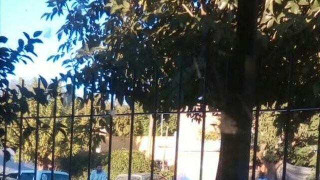 Fumigación por dengue en Gualeguaychú\nCrédito: Vía Gualeguaychú