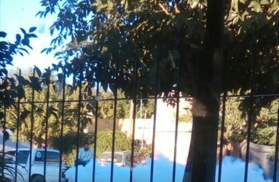 Se detectaron 9 casos nuevos de Dengue en Gualeguaychú