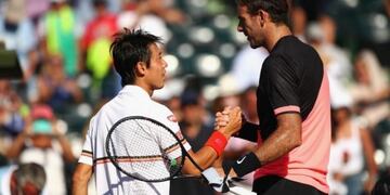 Juan Martín del Potro y Kei Nishikori (Foto: web)