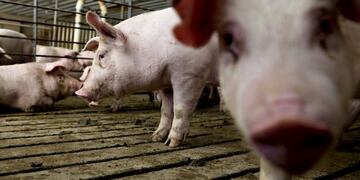 Desde la CAPER piden extremar las medidas de prevención y no llegar al punto de cortar las actividades por completo en los establecimientos donde se puedan encontrar casos de COVID 19\u002E