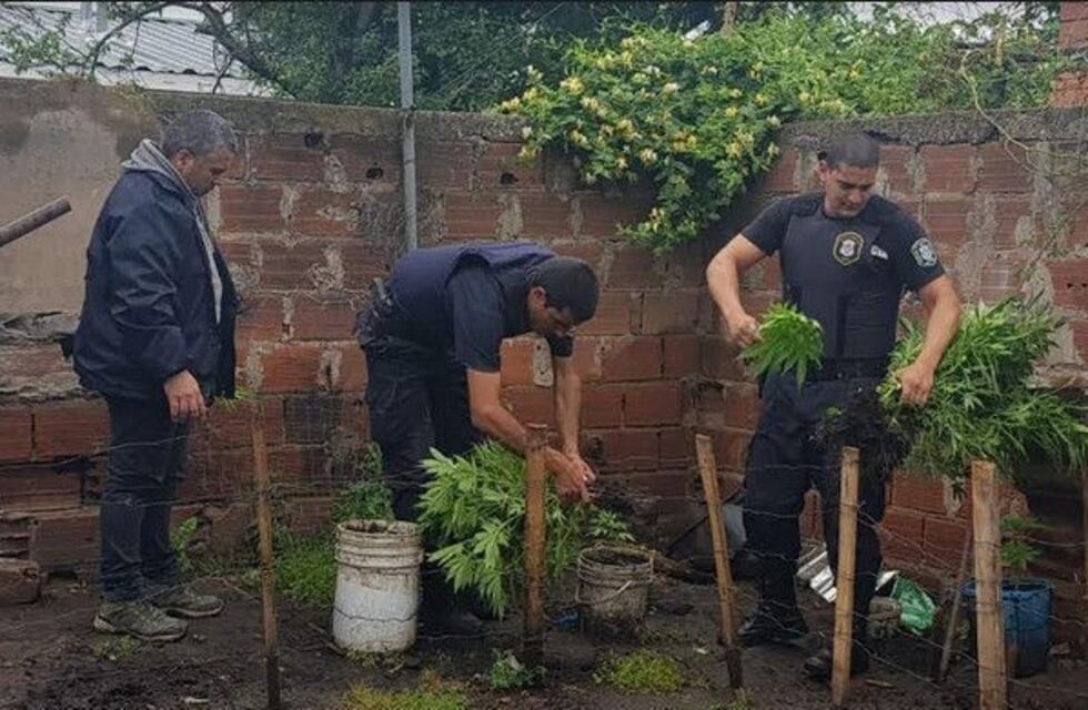 Tres delincuentes detenidos luego de golpear a vecino para robarle una garrafa