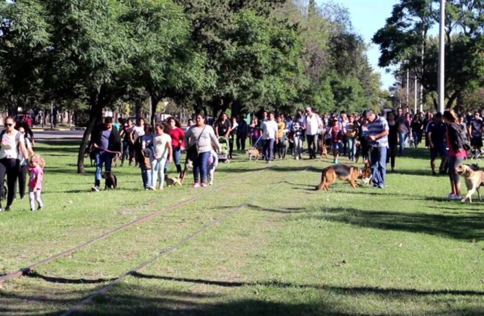 Jesús María: más de 700 personas se sumaron a la Caminata Perruna