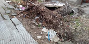 Cementerio de Punta Alta