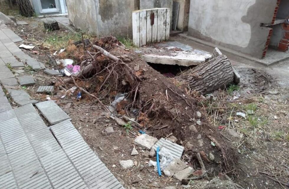 Cementerio: cuando la indignación supera a la tristeza