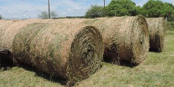 La pila de fardos del campo se cayó sobre el trabajador rural y lo mató en un establecimiento de Carrilobo\u002E