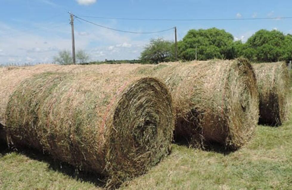 Tragedia: una pila de fardos aplastó y mató a un trabajador rural en Carrilobo