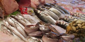 El pescado aumentó en Mendoza\u002E