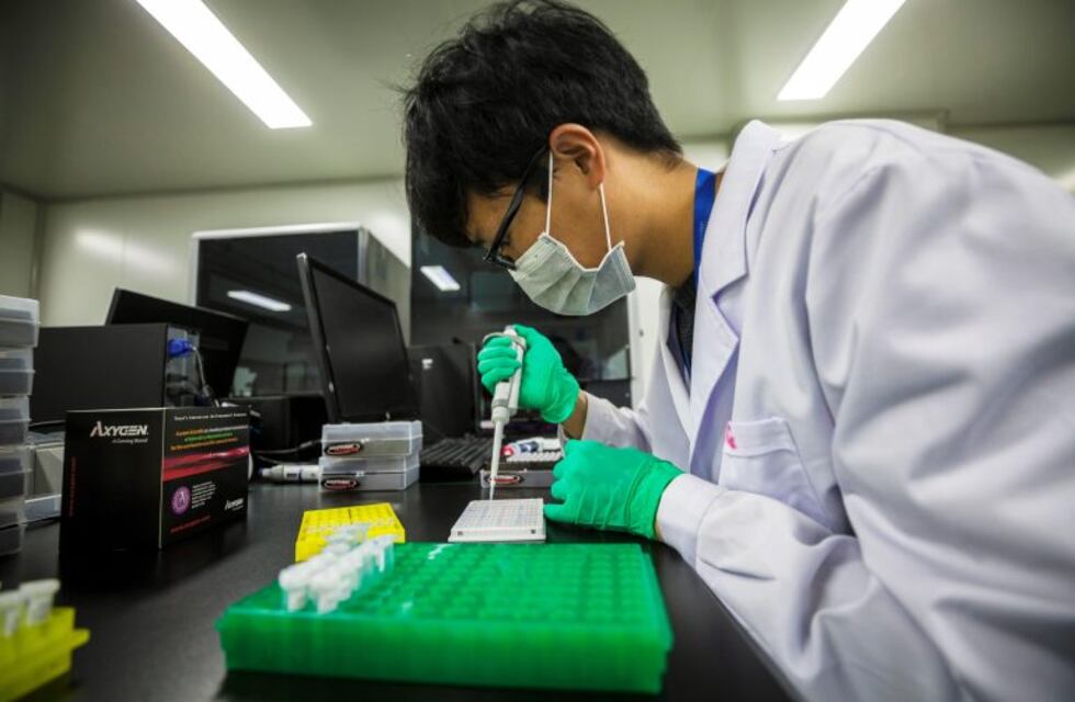 China investiga la supuesta creación de dos bebés modificados genéticamente