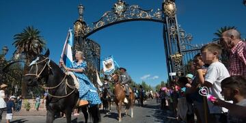 Se robaron dos caballos que iban a desfilar en la Vendimia