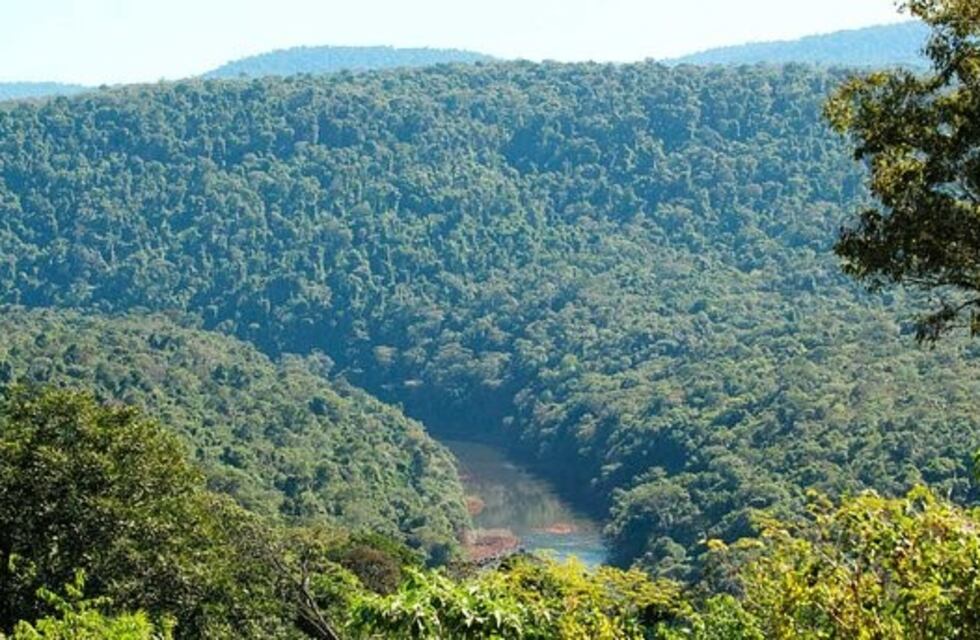 Como hasta ahora, el invierno en Misiones tendrá muchos altibajos