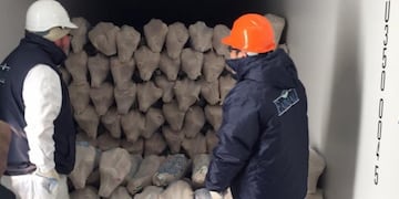 Certifican la primera exportación de cordero congelado a Japón