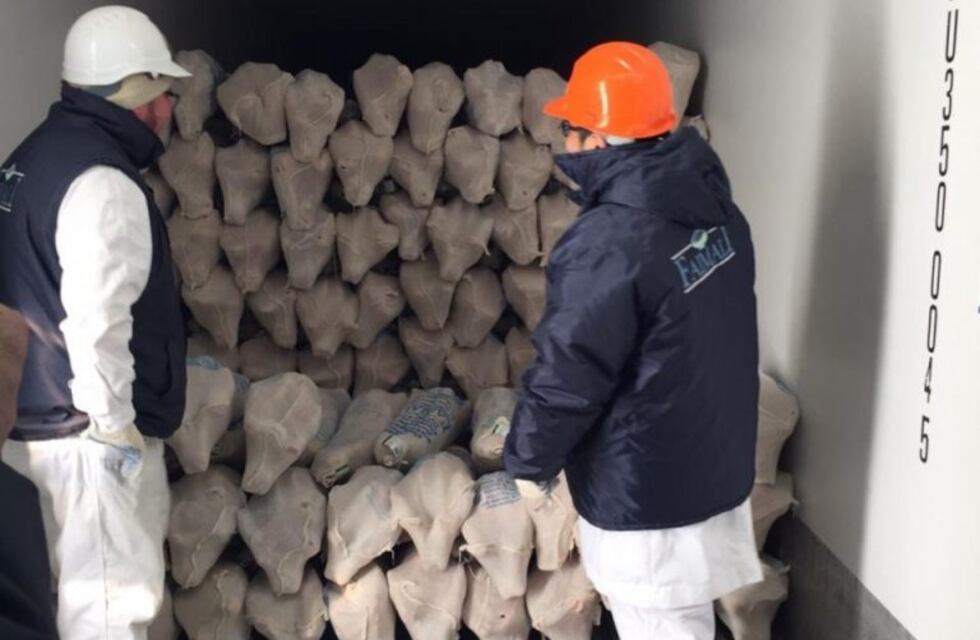 Certifican la primera exportación de cordero congelado a Japón