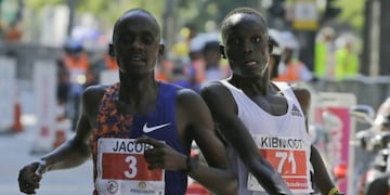 Video: un maratonista festejó antes de tiempo y terminó perdiendo la carrera