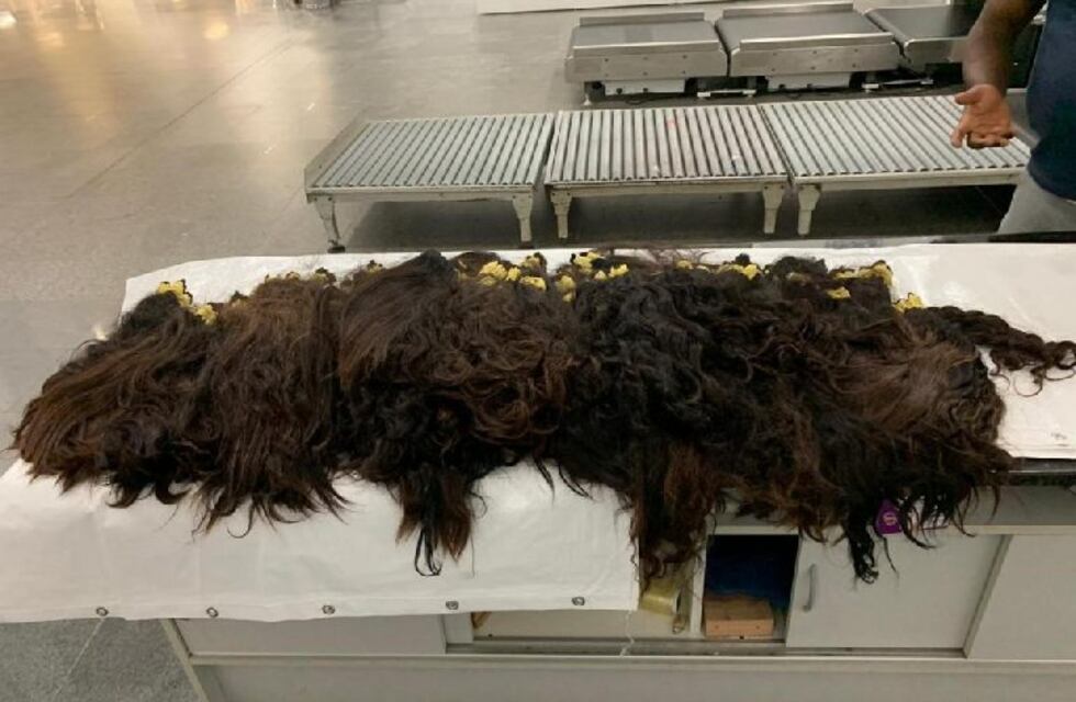 Detuvieron en Foz a un ecuatoriano que viajaba con 13 kilos de cabello