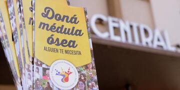 Doná médula ósea