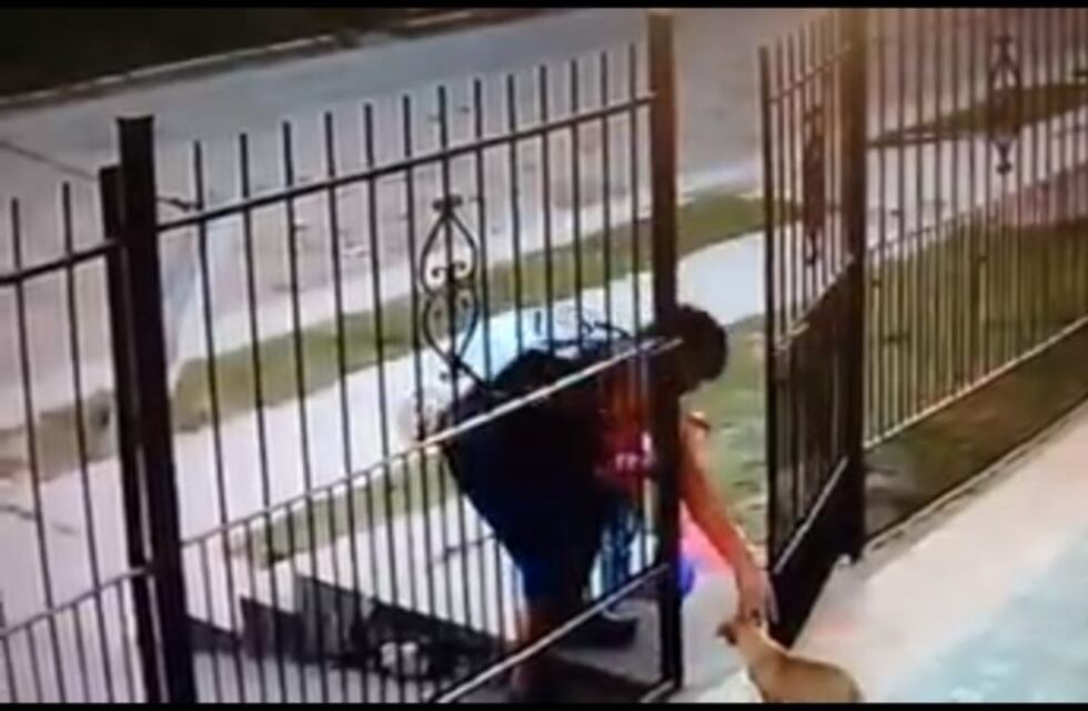 Así se roban un perro a plena luz del día en San Miguel de Tucumán