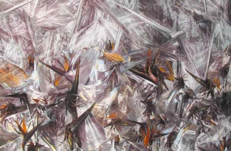 Retrospectiva de la artista Nora Aslan en el Museo Caraffa de Córdoba