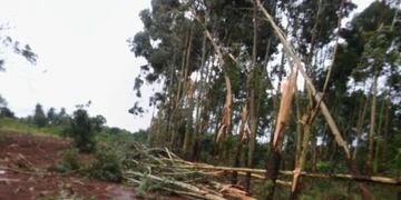Temporal en Corpus\u002E (Foto: Primera Edición)