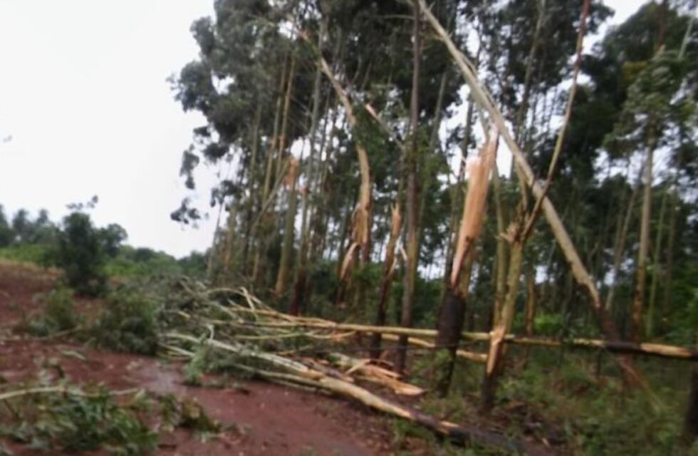 La localidad de Corpus se vio afectada por un tornado