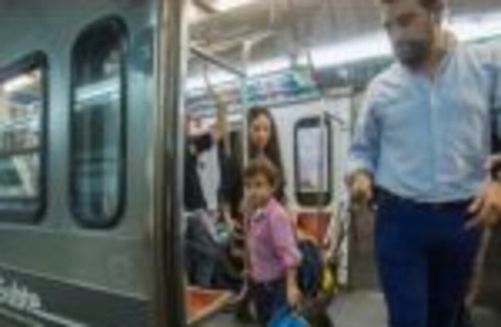 La Legislatura porteña aprobó el proyecto de ley para viajar con mascotas en el subte