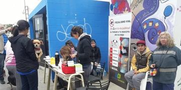 El Centro de Sanidad animal atenderá en distintos lugares de la ciudad