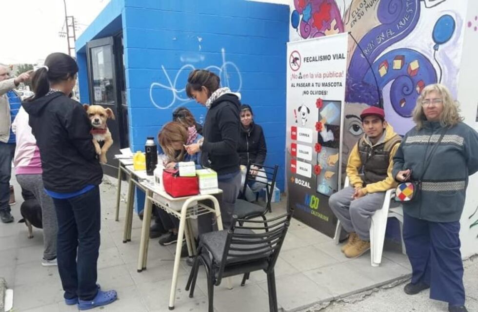 El Centro de Sanidad animal atenderá en distintos lugares de la ciudad