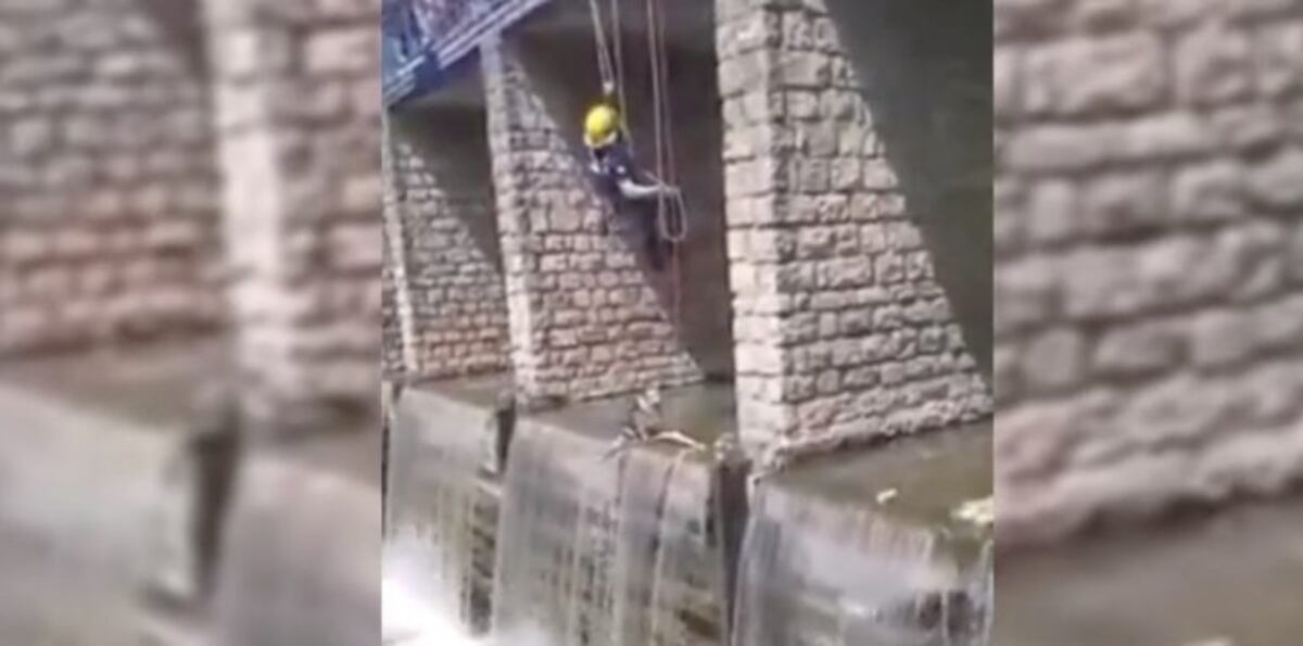 Espectacular rescate de un perro que cayó en un arroyo de Olavarría