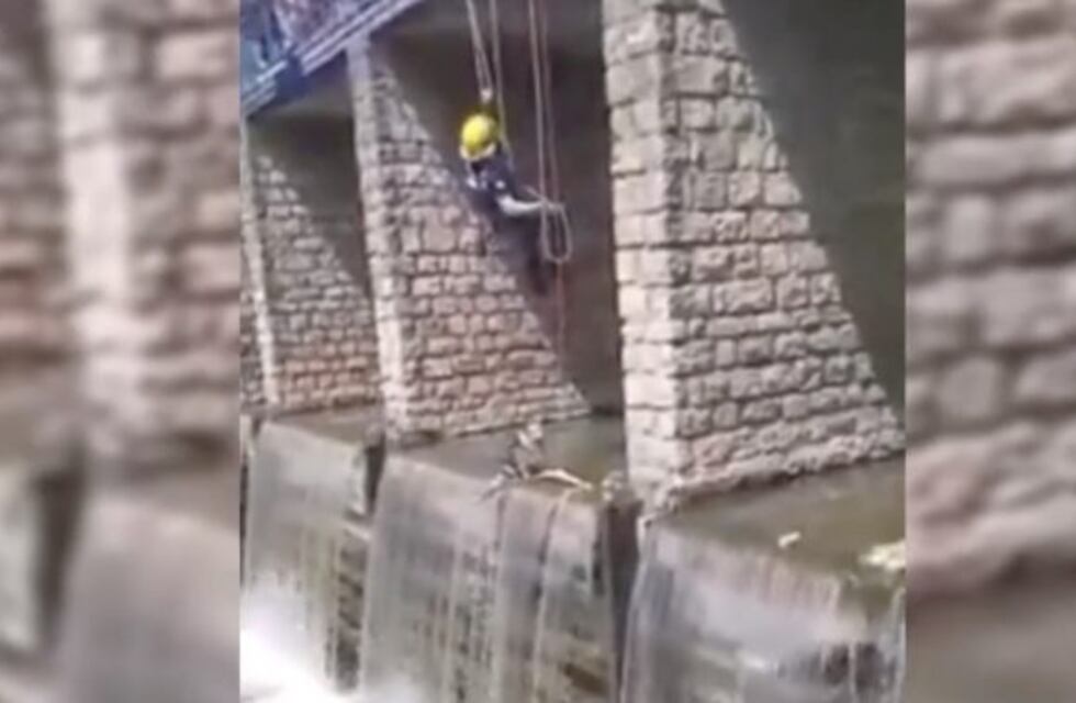 Espectacular rescate de un perro que cayó en un arroyo de Olavarría