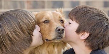 El desarrollo de la inteligencia animal dependerá del tipo de vínculo y estimulación de que reciba de su dueño