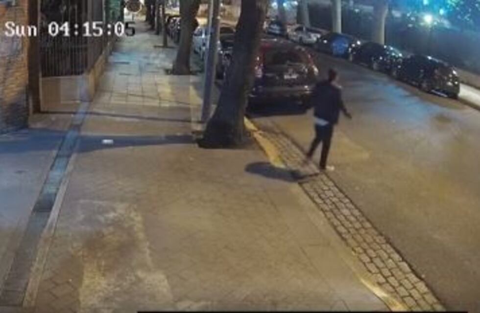 Lo atropellaron y abandonaron en Palermo y ahora piden información para encontrar al responsable