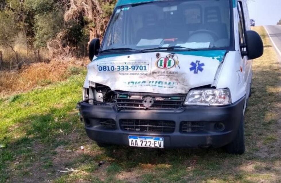 Un ciervo fue atropellado por una ambulancia y tuvieron que amputarle una pierna