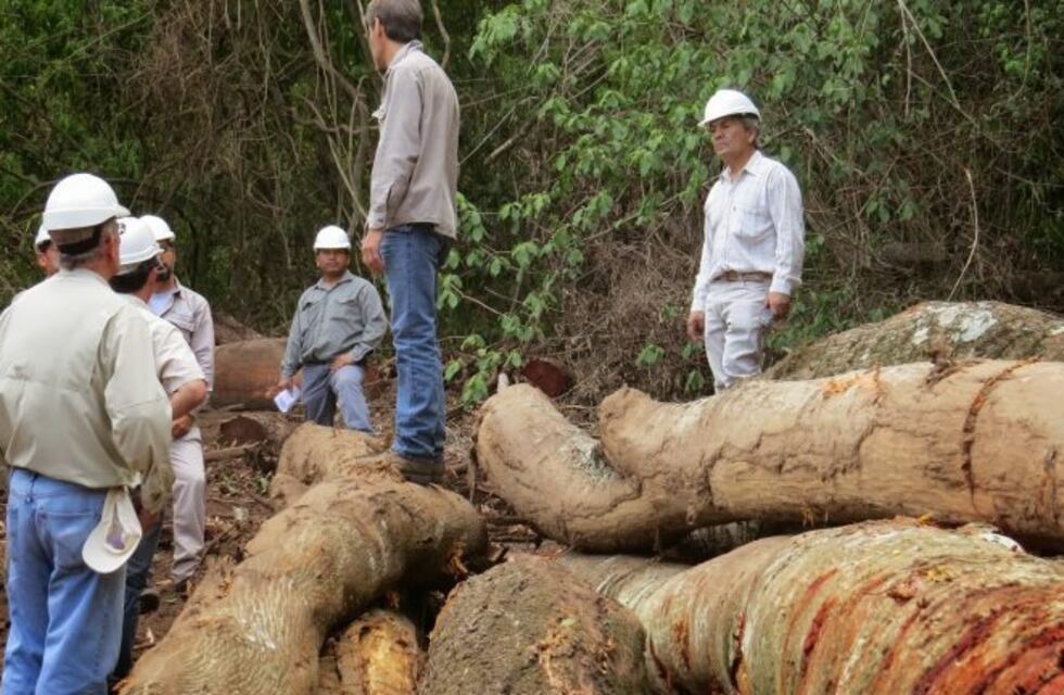 Coronavirus en Salta: quiénes son los nuevos eximidos de cumplir la cuarentena