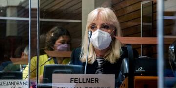 Diputada Liliana Fellner (Frente de Todos PJ - Jujuy)